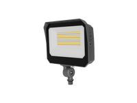 Commercial Flood Light 80W Max 3-CCT F-FDFDA